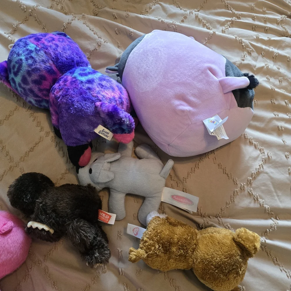 Teddy Bear Bundle Melissa & Doug Scented Squish Etc All Included